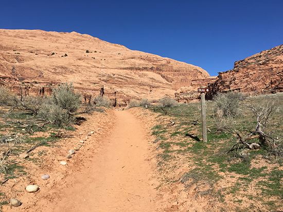 Mill Creek Trail indicator sign