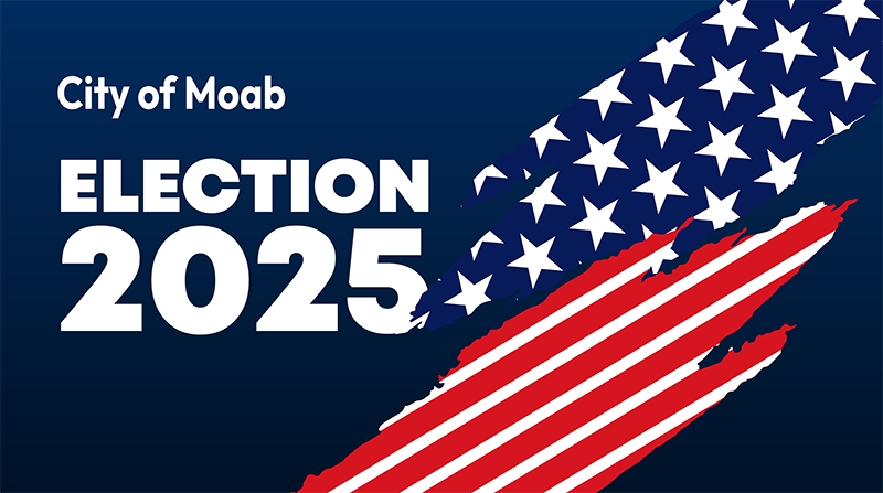 City Election 2025  reduced for web