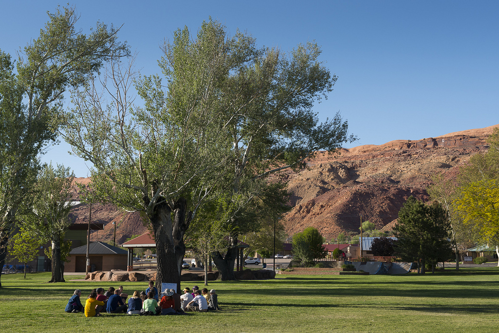 Tree at Old City Park